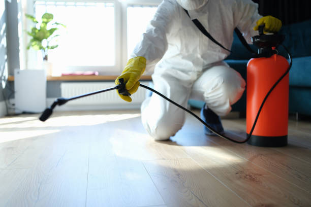 Reliable Odor Removal contractor in Chesterfield, MO by Trauma Clean Pros